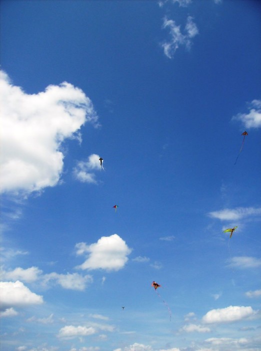 2008 KiteFestival-009.jpg